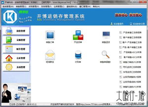 开博进销存管理系统标准版 v3.1 中文版